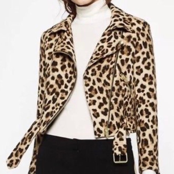 leopard print biker jacket zara